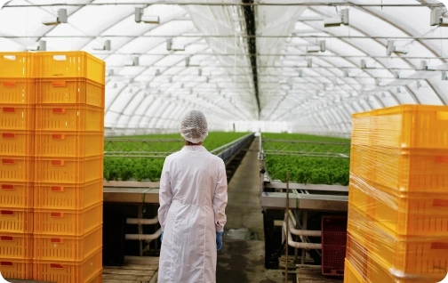 Patatas Ignacio Instalaciones